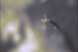 Iran tung video 'nã' hơn 40 tên lửa vào các mục tiêu Mỹ và Israel