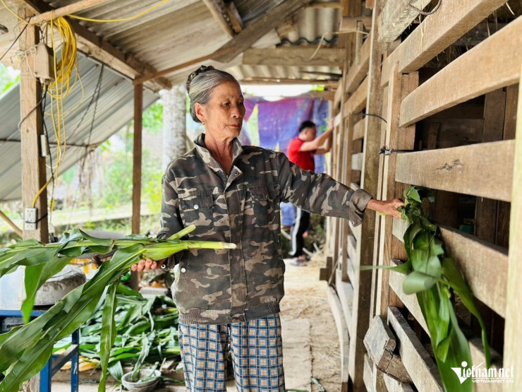 Nhờ nghề nuôi hươu, nhiều hộ dân miền núi Hương Sơn đã cải thiện đáng kể thu nhập, từng bước thoát nghèo và vươn lên khá giả.