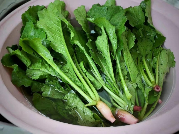 Lá củ cải trắng chứa nhiều chất dinh dưỡng tốt cho sức khỏe. (Ảnh minh họa: VTC News)