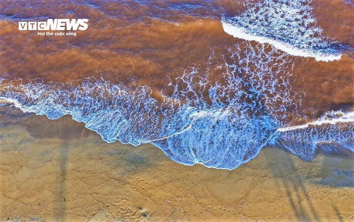 Theo kết quả phân tích của Sở NN&amp;MT tỉnh Gia Lai, nước biển tại khu vực trên không phát hiện hiện tượng tảo nở hoa như dư luận rầm rộ.