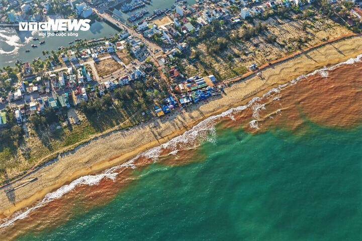 Vết nước màu nâu đỏ tại vùng biển Thiện Chánh (phường Hoài Nhơn Bắc, Gia Lai) ngày 23/2.