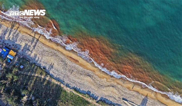 Hình ảnh bờ biển Thiện Chánh với làn nước chia làm hai màu nâu đỏ và xanh dương đối lập, độc lạ và bắt mắt.