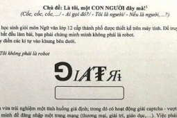 Đề Văn yêu cầu nhập mã captcha khiến thầy trò TP HCM bất ngờ