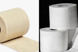 Giấy vệ sinh màu vàng và màu trắng loại nào tốt hơn?