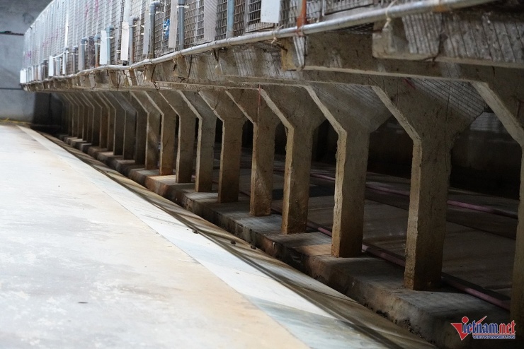 Hệ thống chuồng trại khép kín, xây cao cách mặt đất khoảng 80cm