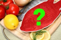 Tin tức sức khỏe - Việt Nam có 1 loại cá được mệnh danh là "gà nước" đại bổ cho xương khớp