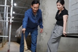 Chủ khách sạn ở Nghệ An đầu tư tiền tỷ nuôi chồn hương, thu tiền tỷ/năm