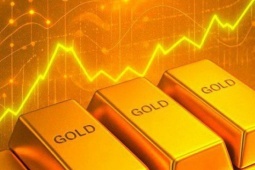 Nguồn gốc của gần 30kg vàng tinh khiết vừa được tỉnh Hà Tĩnh rao bán có từ đâu?