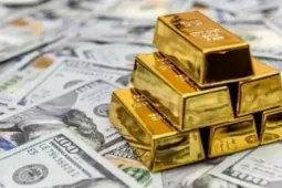 Hội đồng Vàng Thế giới: Vàng hưởng lợi khi đồng USD giảm, nhưng cũng tiềm ẩn rủi ro khó lường