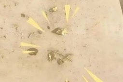 Tìm thấy nhiều hạt vàng trị giá 1.800 USD khi làm thịt vịt