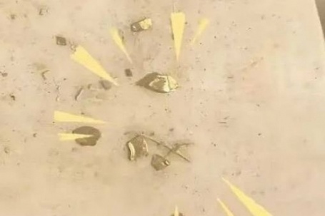 Tìm thấy nhiều hạt vàng trị giá 1.800 USD khi làm thịt vịt