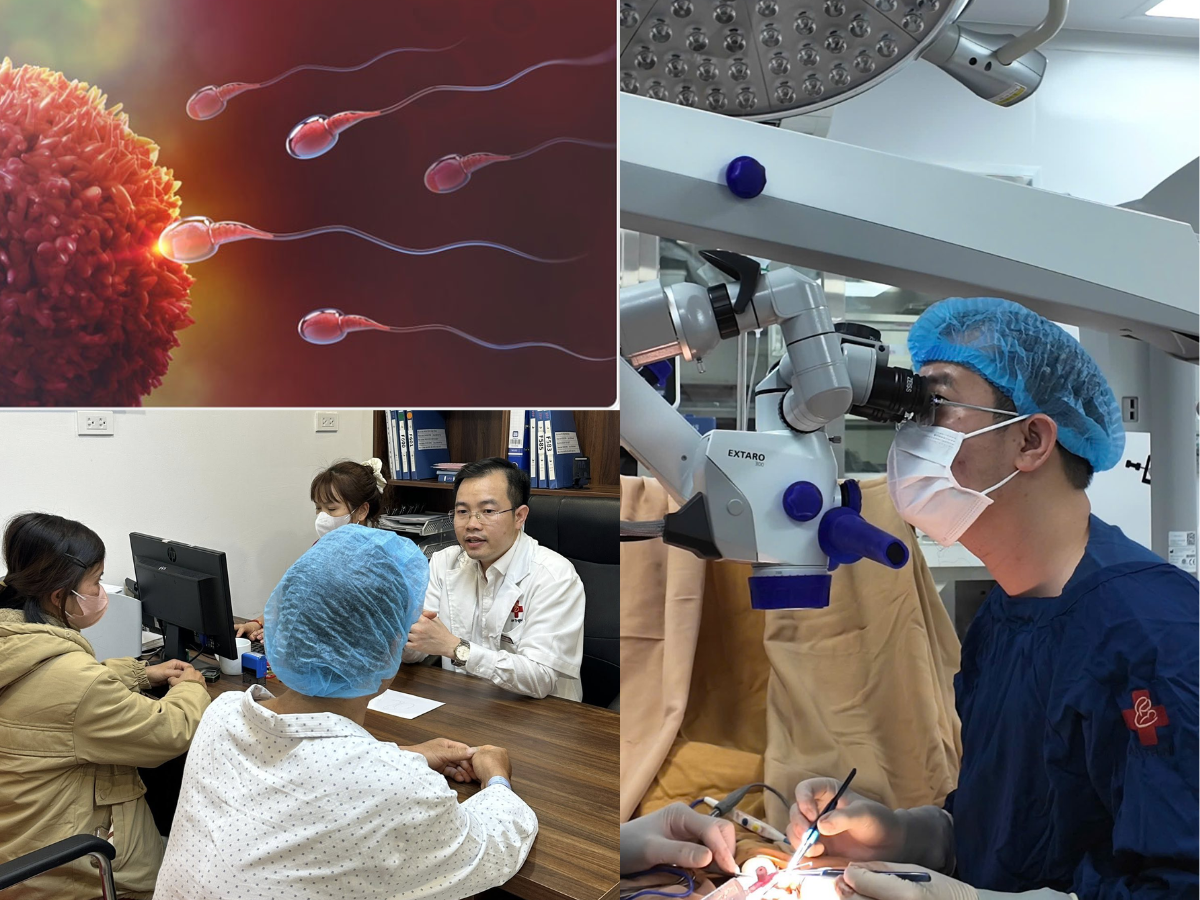 ThS.BS Hà Đức Quang hiện là Giám đốc Trung tâm IVF tại Bệnh viện Phụ sản An Thịnh