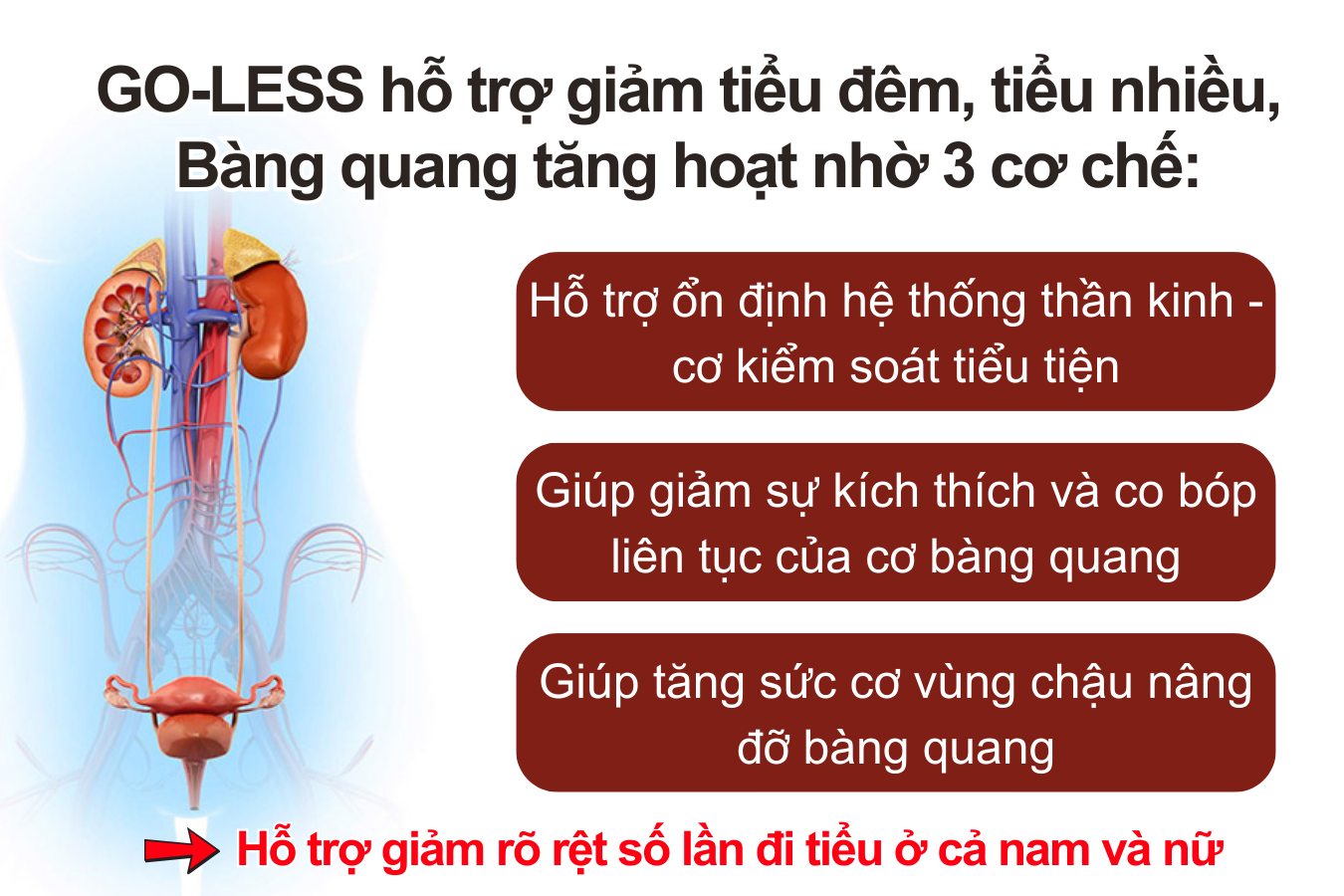 Dấu hiệu bất thường của hệ tiết niệu mà nhiều người thường bỏ qua - 5