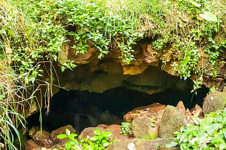 Người thì bảo hang nằm gần Bàu Sen, kẻ lại khẳng định phải qua dốc đá ong rồi mới tìm thấy miệng hang nằm sâu dưới lớp cỏ hoang…