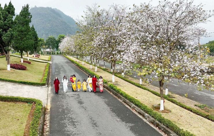 Cứ mỗi độ hoa ban nở rộ, các tuyến phố ở phường Tân Phong (Lai Châu) lại trở nên đẹp hơn, nhộn nhịp hơn bởi sự góp mặt của đông đảo người dân địa phương và du khách. (Ảnh: Đinh Đông)