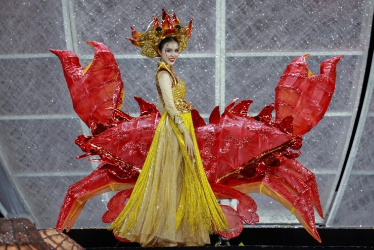 Dàn hoa hậu diễn áo dài trên phố đi bộ Nguyễn Huệ - 10