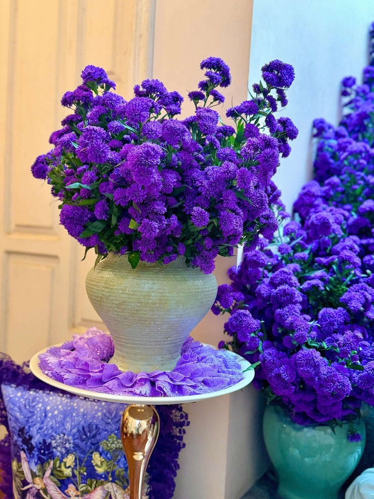 Cận cảnh những bông hoa thạch thảo tím kép Hải Phòng - niềm tự hào của chị Nguyễn Huệ. Ảnh: NVCC