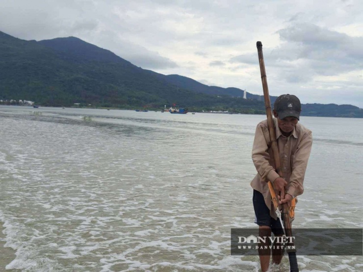 Nghề cào ốc lể không cần đầu tư nhiều, ngư dân chỉ cần một cây sào tre hoặc gỗ, phía dưới gắn lưỡi cào bằng sắt cùng tấm lưới. Ngư dân sẽ đi thụt lùi kéo sào ốc cho đến lúc nào nặng tay sẽ rũ cát giữ lại những con ốc nhỏ bé. Ảnh: Đình Thiên