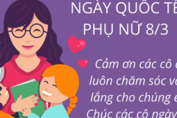 Lời chúc ngày Quốc tế Phụ nữ 8/3 tặng cô giáo hay nhất 2026