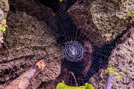 Theo dấu truyền thuyết “Cọp ba móng” trong rừng già Đồng Nai Thượng