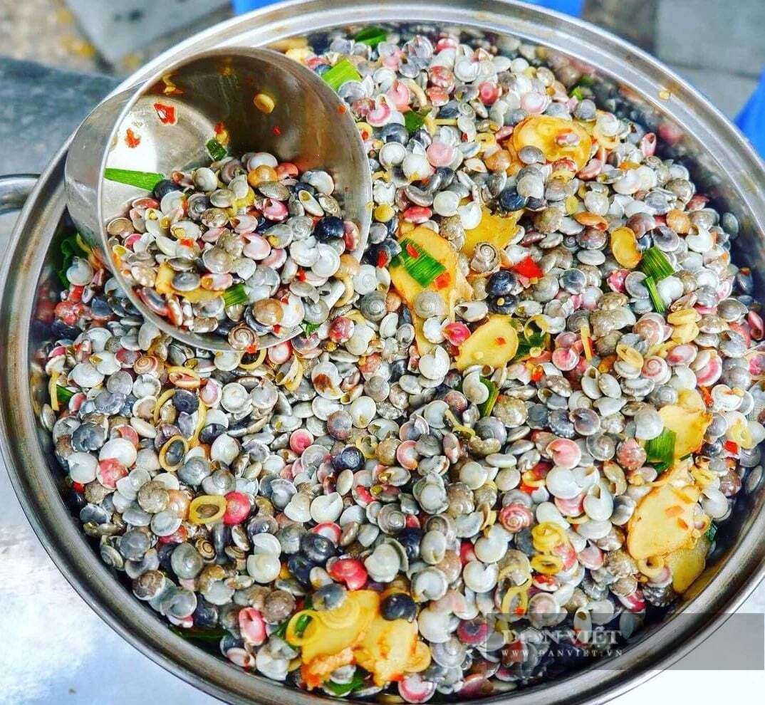 Ốc lể được bán tại bờ biển khoảng 20 ngàn đồng -25 ngàn đồng/lon. Khi được chế biến thành món xào hoặc luộc trở thành món ruột của nhiều thực khách với giá 50 ngàn đồng đến 60 ngàn đồng lon.