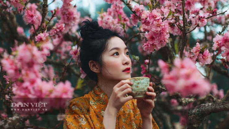 50 lời chúc 8/3 2026 trang nhã, ý nghĩa dành cho bạn để gửi tặng những người phụ nữ bạn yêu quý, quan tâm