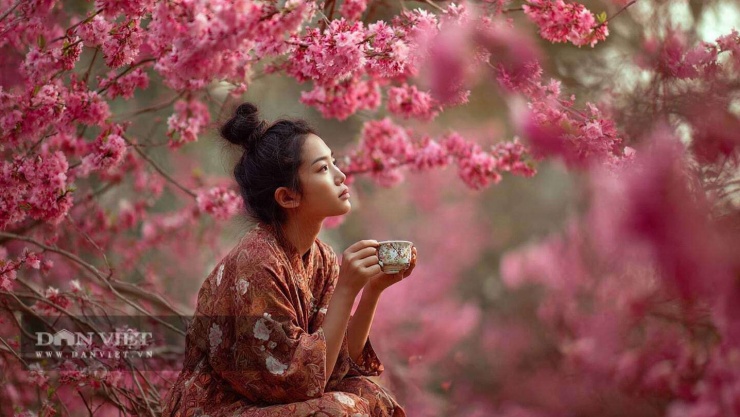 Gửi lời chúc 8/3 2026: Mong bạn trở thành mặt trời của chính mình, không cần ánh sáng của bất kỳ ai khác.