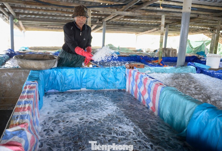 Sau khi làm sạch nhớt, sứa được rửa kỹ và ngâm muối khoảng một tuần cho đến khi nước trong và hết mùi tanh mới đạt sứa thành phẩm.