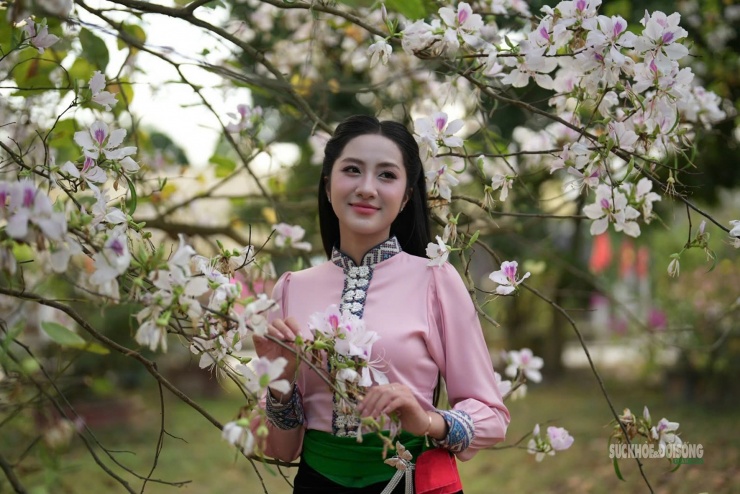 Sắc ban trắng hồng làm nổi bật vẻ dịu dàng của thiếu nữ Thái giữa không gian núi rừng Tây Bắc.