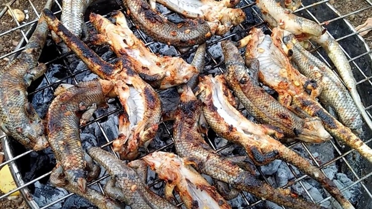 Ở miền Tây có con vật nhỏ bé chuyên lẩn trong đống lá khô nay thành đặc sản chế biến đủ món ngon - 9