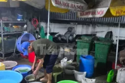 Nhếch nhác quán bia, quán phở ở Hà Nội, gây lo ngại về an toàn thực phẩm