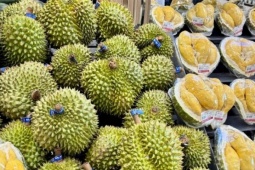 Giá cơm sầu riêng gần 600.000 đồng/kg, nhiều cửa hàng chỉ bán Ri6