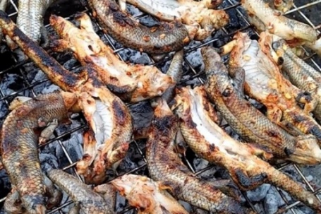 Ở miền Tây có con vật nhỏ bé chuyên lẩn trong đống lá khô nay thành đặc sản chế biến đủ món ngon