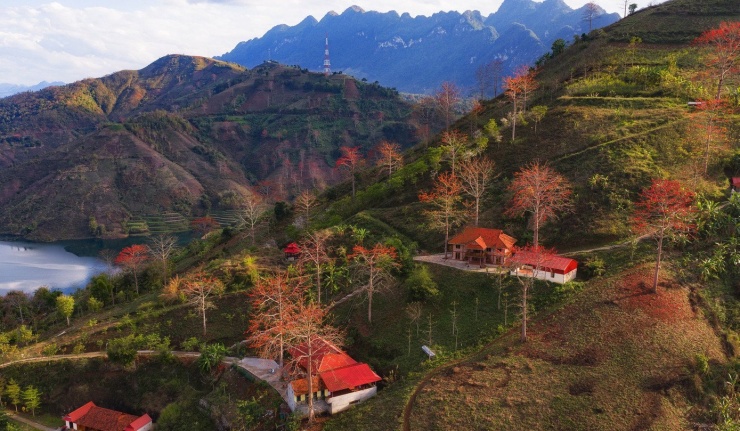 Nhiều bạn trẻ tìm đến săn ảnh, check-in, chia sẻ những khung hình hoa gạo rực rỡ trên mạng xã hội, góp phần lan tỏa vẻ đẹp tự nhiên của vùng đất này.