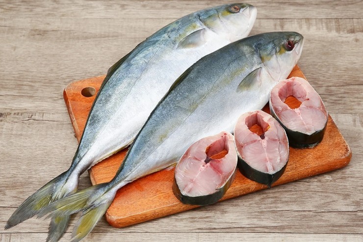 Loại cá đắt giá được nhân giống thành công tại Việt Nam