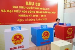 Cử tri đi bầu cử cần lưu ý những gì?