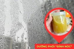Tin tức sức khỏe - Thức uống dưỡng phổi giảm ho, đàm trong những ngày trời nồm ẩm