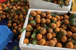 Xăng dầu tăng chóng mặt, dân buôn online đồng loạt “xin thêm 5.000 đồng/đơn”