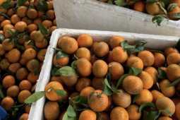 Xăng dầu tăng chóng mặt, dân buôn online đồng loạt “xin thêm 5.000 đồng/đơn”