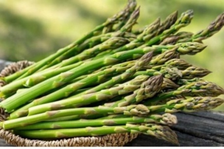 Việt Nam có loại "rau hoàng đế" bổ ngang thuốc đắt tiền, cực tốt cho phái mạnh