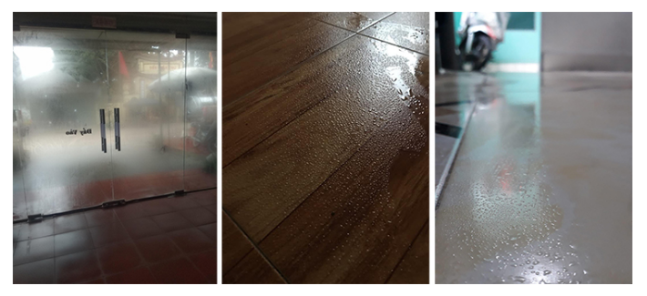 Thức uống dưỡng phổi giảm ho, đàm trong những ngày trời nồm ẩm - 1