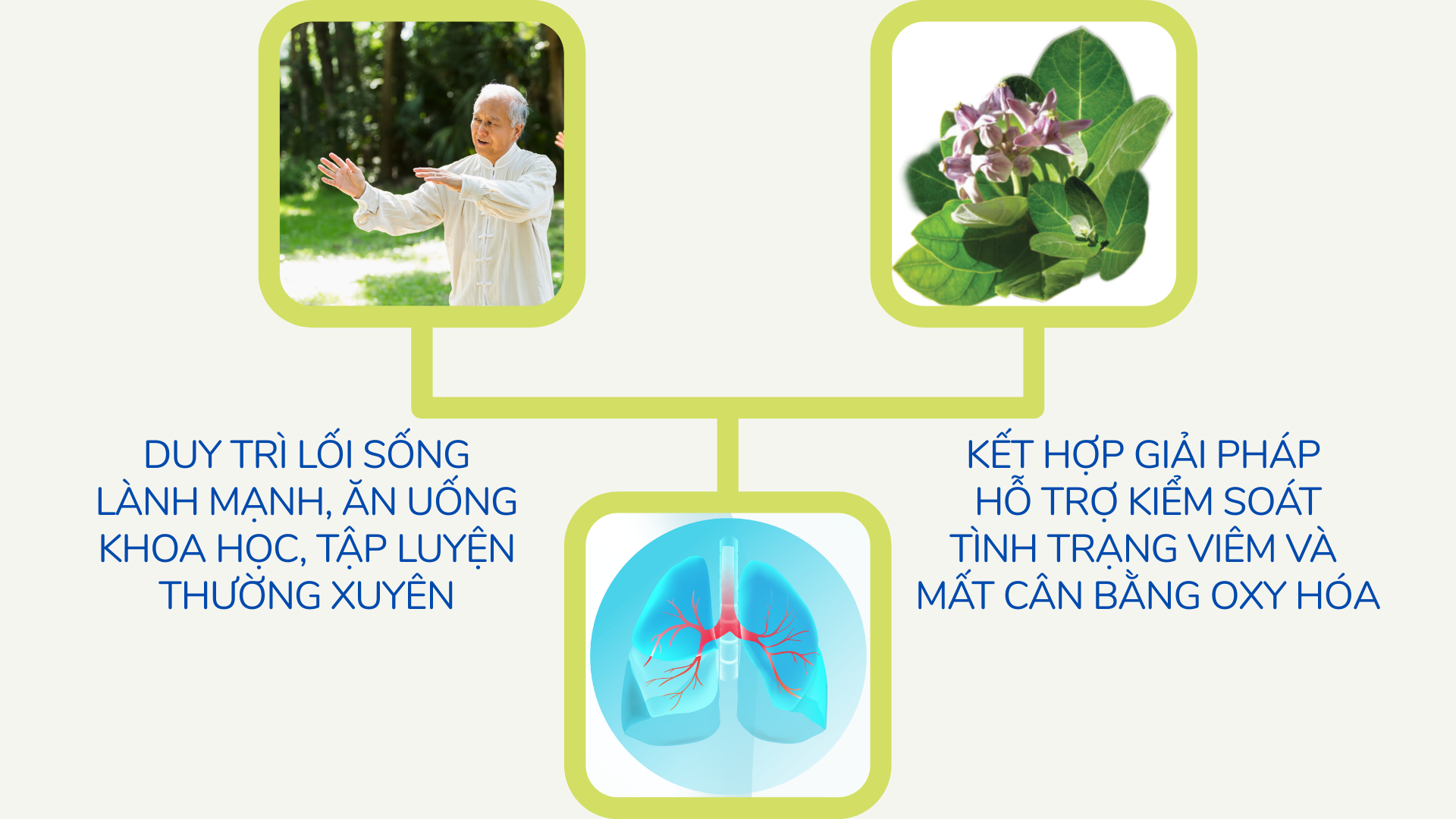 Thức uống dưỡng phổi giảm ho, đàm trong những ngày trời nồm ẩm - 3