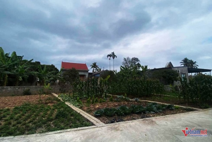 Hóa ra suốt 2 năm qua, trong khi tôi luôn tìm cách tránh về quê chồng, thì ở nơi này, mẹ vẫn âm thầm giữ căn phòng ấy cho chúng tôi. Ảnh minh họa