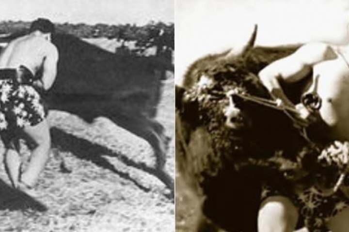 Huyền thoại karate Nhật Bản đấu 100 người, chặt gãy sừng bò tót