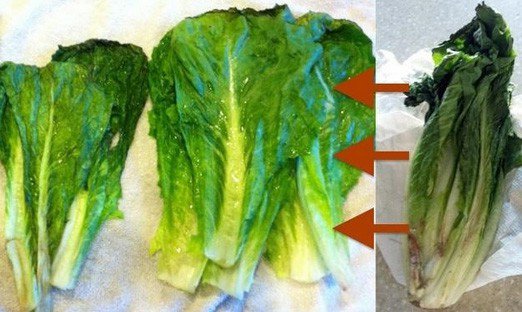 Rau củ quả để quá lâu có thể héo, nhũn, dập, rỉ dịch dễ tạo vi khuẩn xâm nhập.