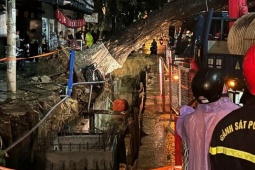 Cây cổ thụ bật gốc giữa đêm ở Đà Nẵng, nghi do đào đường