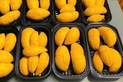 Sầu riêng gai đen tiền triệu mỗi trái vẫn ‘cháy hàng’