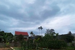 2 năm không về quê chồng, vừa bước vào phòng ngủ, con dâu bật khóc