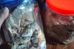 3 trẻ ở Đà Nẵng nhập viện cấp cứu sau khi ăn cá ủ chua