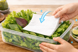 Mẹo bảo quản rau sống trong tủ lạnh tươi ngon suốt hai tuần